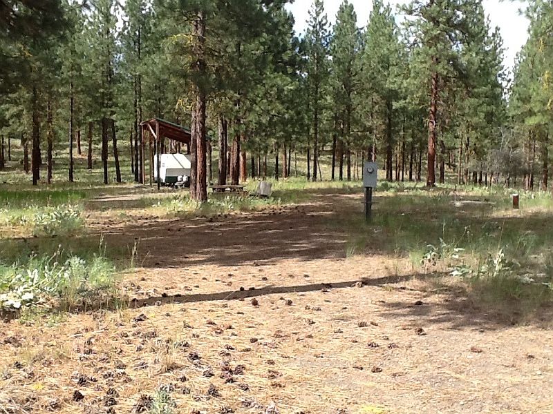 1st image of 11 Butterweed Rd