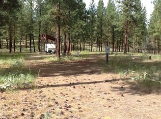 11 Butterweed Rd, Winthrop, WA 98862
