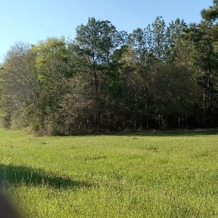 2nd image of Highway 162