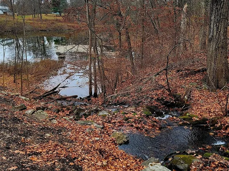 461 Route 199 — Photo 29