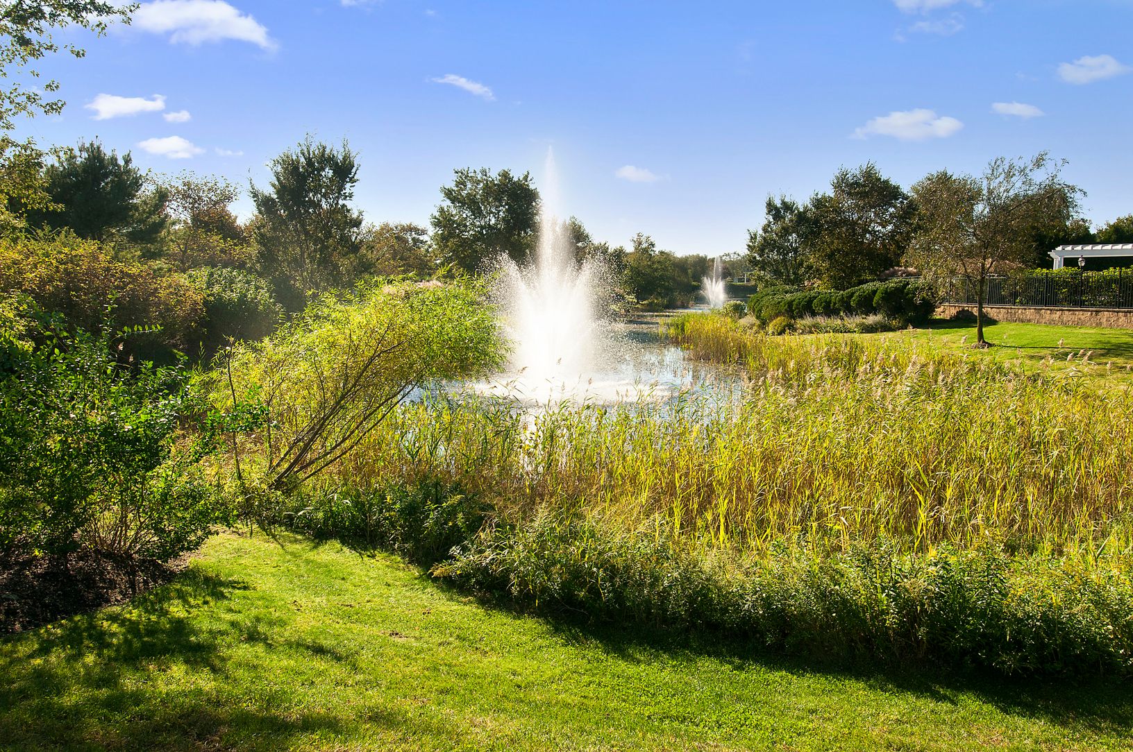  Pondview