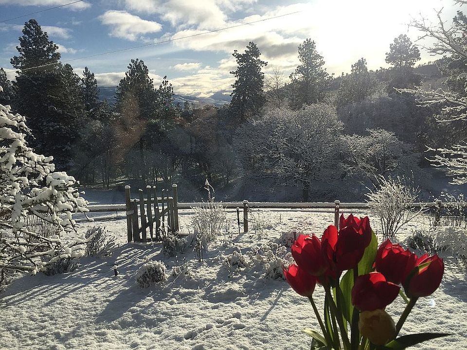 Winter View from the kitchen