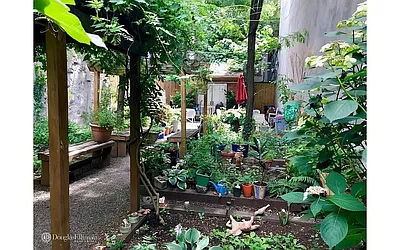 Rented by Douglas Elliman