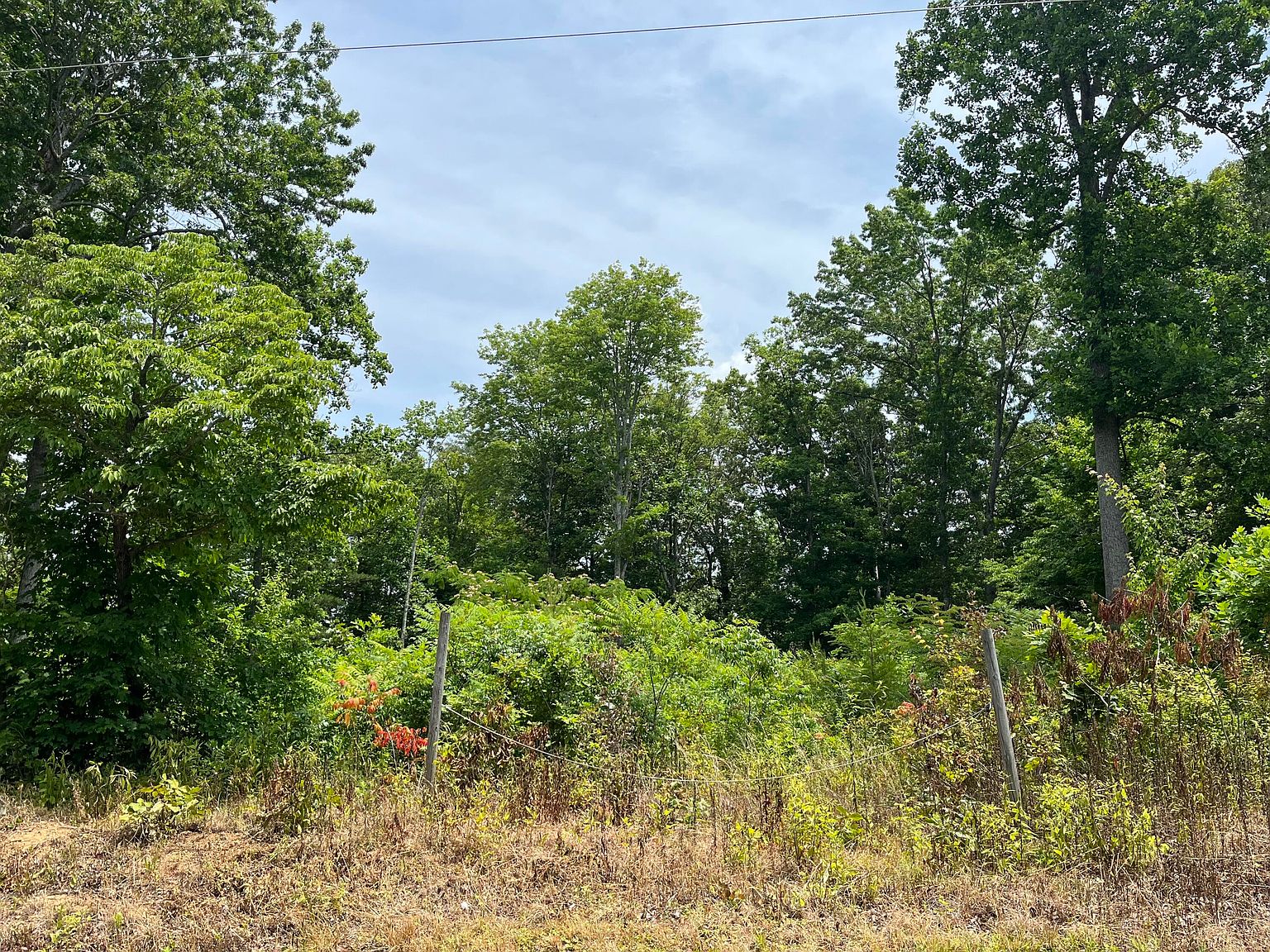 0 Rural Vale Rd, Tellico Plains, TN 37385 Zillow