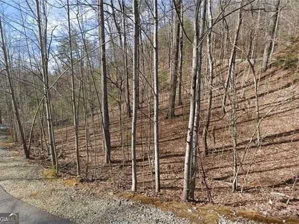 0 Brown Hawk Dr, Clayton, GA 30525