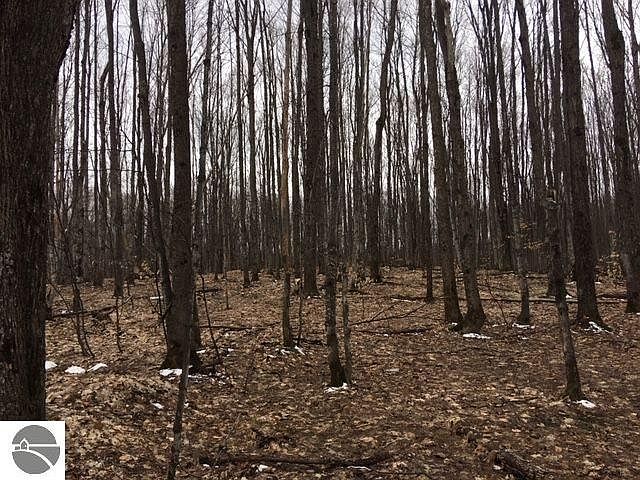 2nd image of 7363 N Maple Valley Rd NE