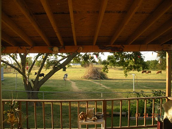 View from back porch