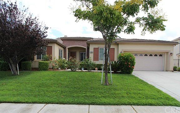 Manicured front yard