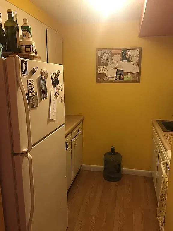 2 bed, 910 sqft, $1,500 — Photo 4