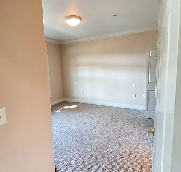 816 Pavilion Pl — Photo 4