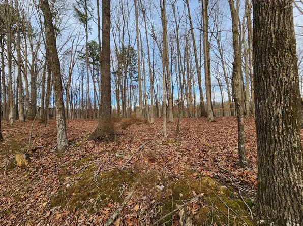 0 Adamson Branch Rd Lot 14, Liberty, TN 37095