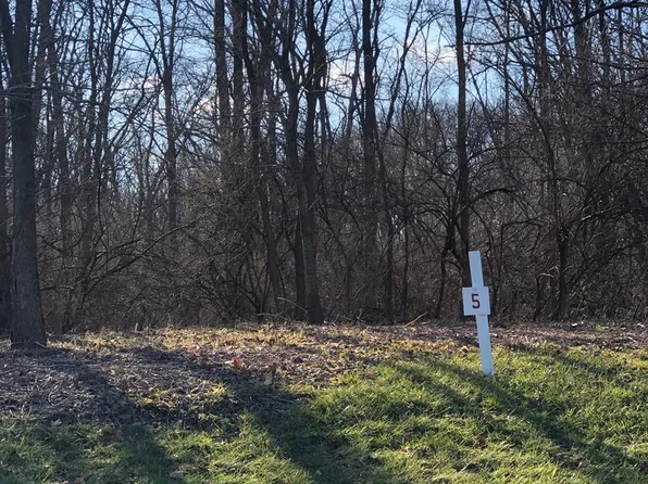 17220 S Oak Meadow Ct #5, Homer Glen, IL 60491