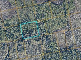 0 NO STREET, Oak Hill, FL 32759