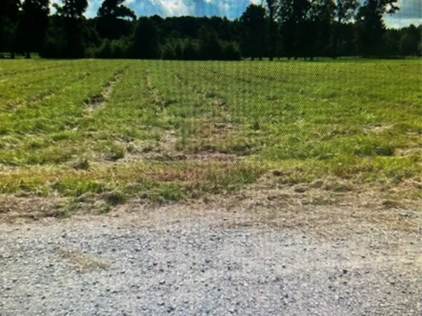 0 Mor Private Dr, Frierson, LA 71027