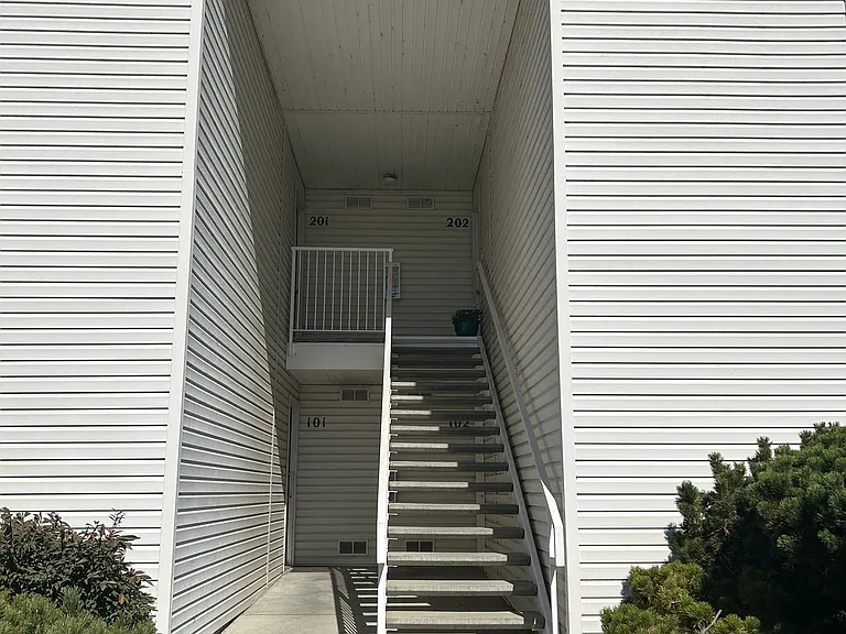 Lucky - 6474 — Photo 3