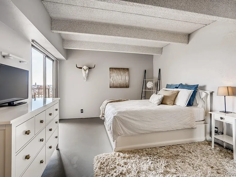 1433 N Williams St #Penthouse 5 — Photo 14