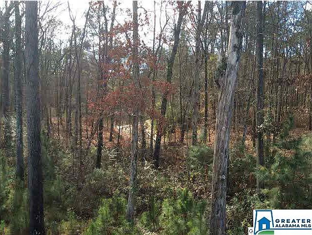 2nd image of 23 Bells Ln Lot 23