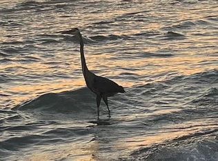 58 Cobia Run W, Rosemary Beach, FL 32461