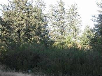 1st image of 1010 Discovery Ave SE