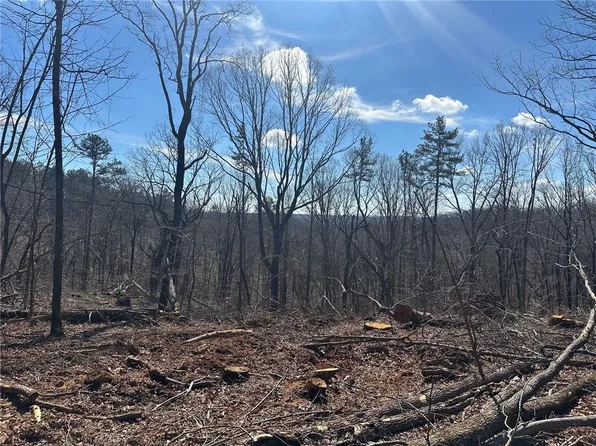 27.68 Chapman Ridge Ln, Dahlonega, GA 30533