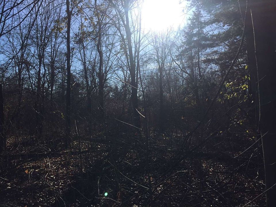 2nd image of 9751 Auburn Rd