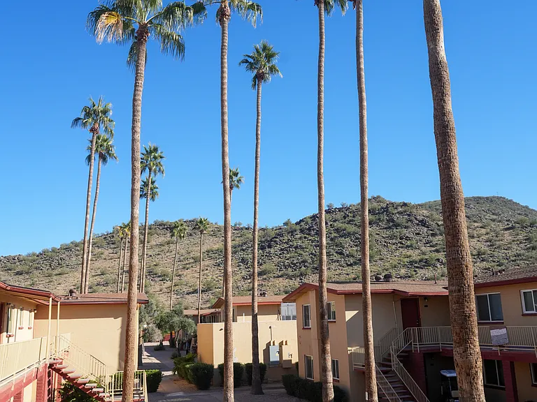 North Mountain Foothills Apartments — Photo 6