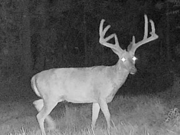 4th image of 0 E 575 S