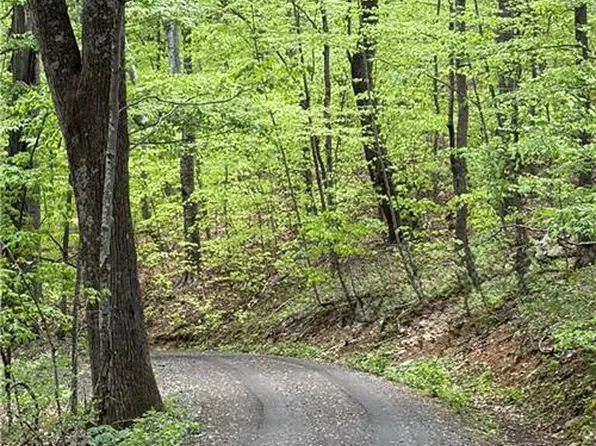 LOT 28 Bluff Ridge Rd #28, West Jefferson, NC 28694