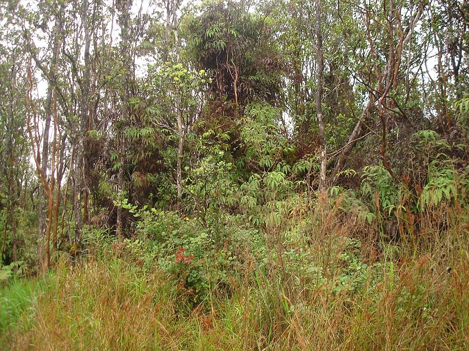 2nd image of Omeka Lot 13