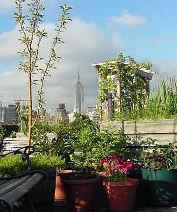 2nd image of 350 Bleecker St APT 4L