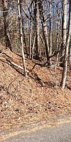 2nd image of Lakewood Dr