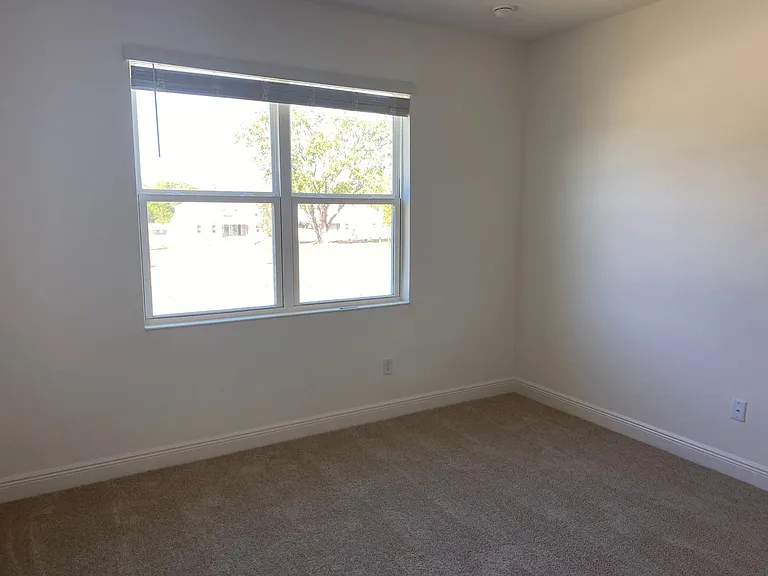 4842 Gilded Jewel Dr — Photo 13