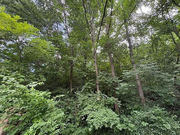 5th image of 163 Dal Brown Rd