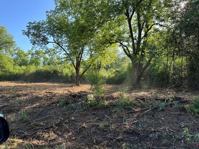 LOT Lawrence St #B, Ashburn, GA, 31714