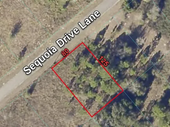 24 SEQUOIA DRIVE LANE LOT 21, OCKLAWAHA, FL 32179