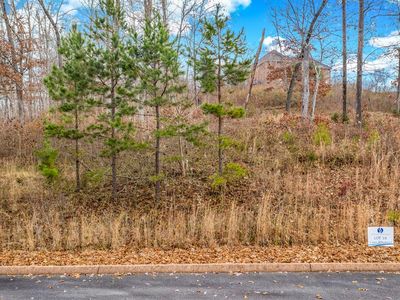 LOT 18 Aidans Trl Lot 18, Rutledge, TN, 37861