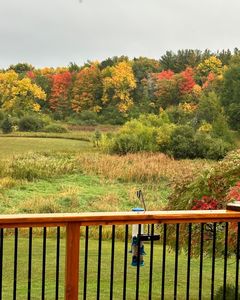 676 503rd Cir W, Stanchfield, MN, 55080