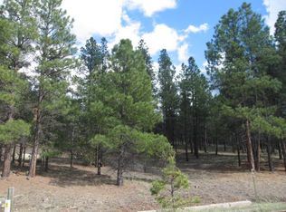 3545 Apache Dr, Happy Jack, AZ 86024