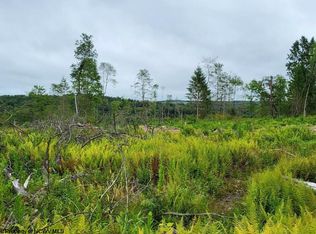 8-998 Hanlin Rd, Bruceton Mills, WV 26525