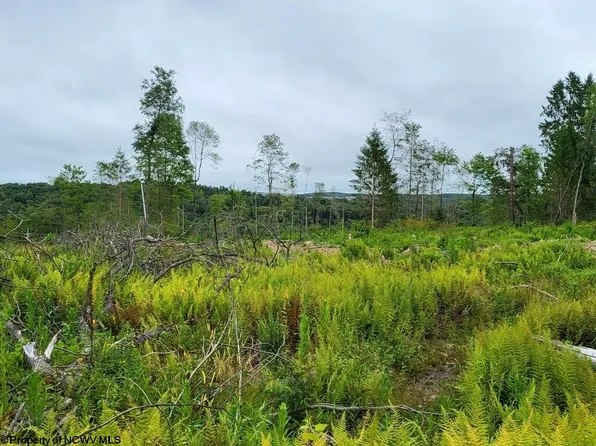 10-998 Hanlin Rd, Bruceton Mills, WV 26525