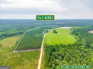 0 Good Carter Rd, Nicholls, GA 31554