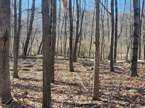 11938 Wellington Dr Lot 142, Stanwood, MI 49346