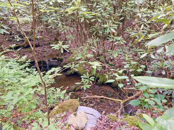 0 Outback Ln, Rabun Gap, GA 30568