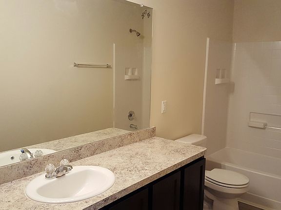 2847 Silver Tree 2_03022016