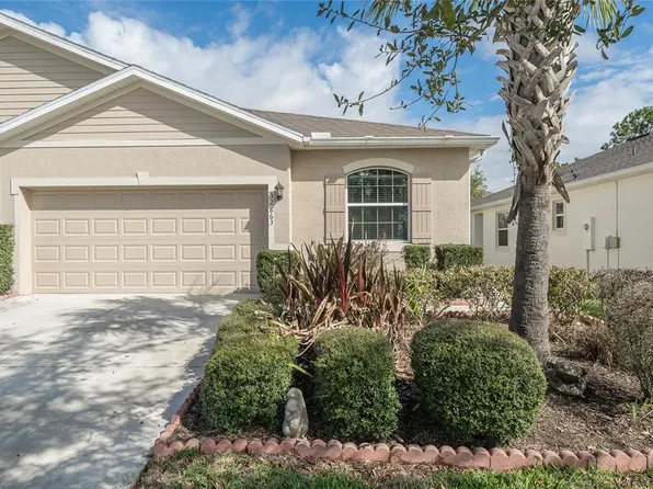 32863 Woodthrush Way, Wesley Chapel, FL 33545