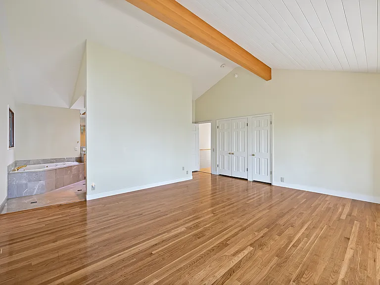 Master Bedroom and closets