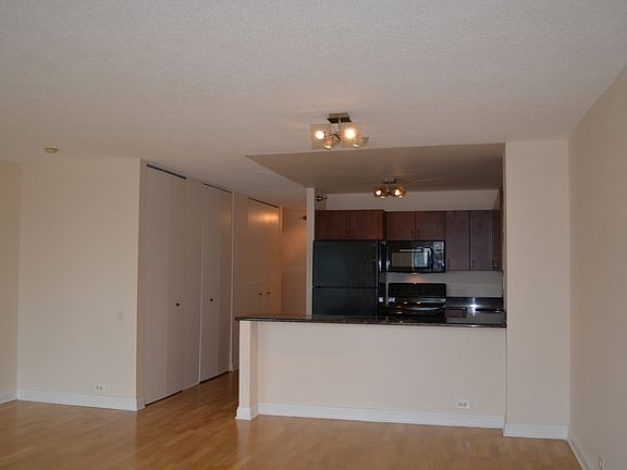 5th image of 474 N Lake Shore Dr APT 4101