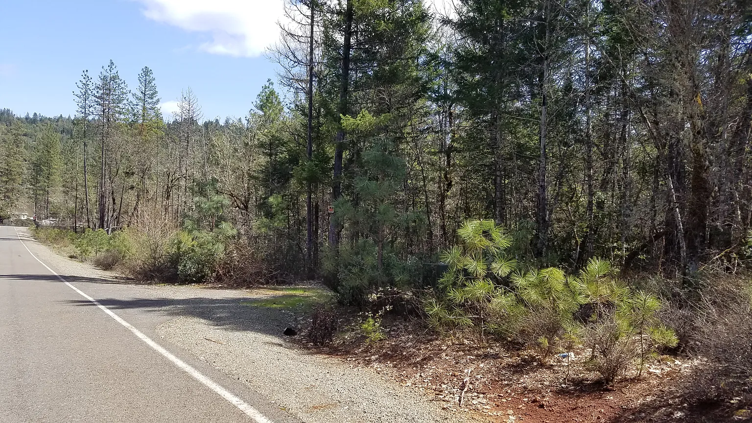 201 Lurline Ln photo 1