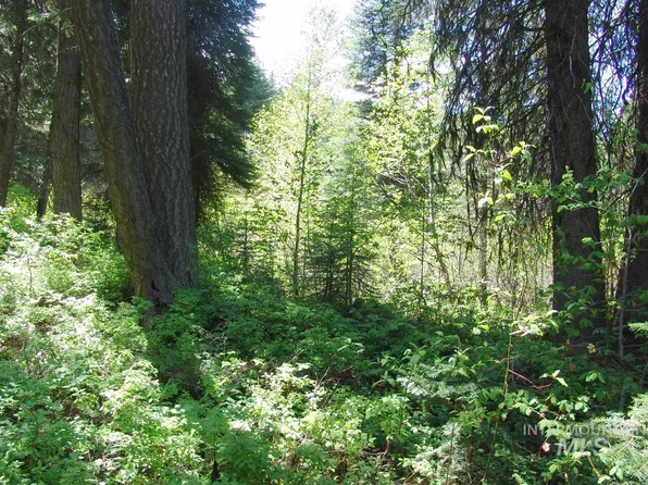 665 Earls Rd, Cascade, ID 83611