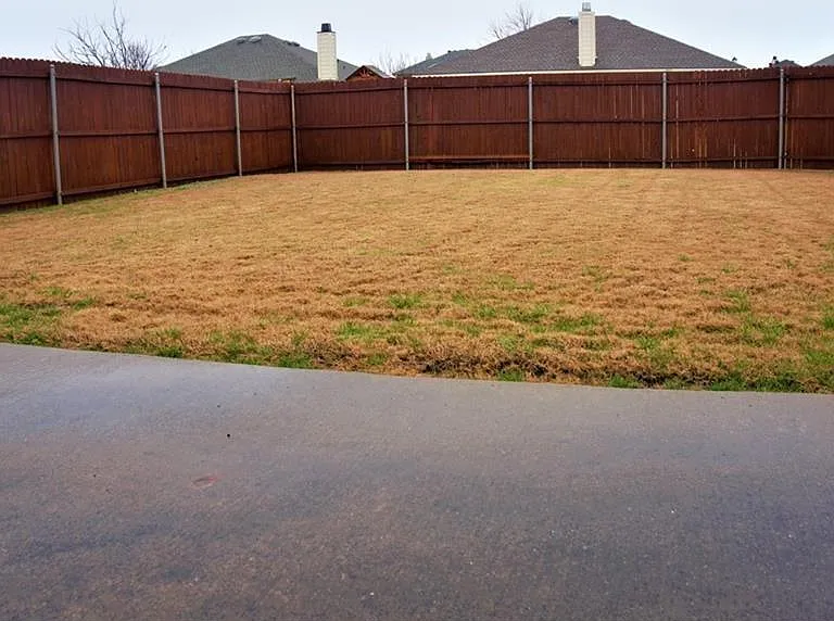 2814 Lake Vista Dr — Photo 7